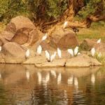 AllExpeditions Kaleidoscopic Private India Travel vacation tour, Luxury Private India Travel tour, India Private Travel Package AllExpeditions Kaleidoscopic Private India Travel vacation tour, Luxury Private India Travel tour, India Private Travel Package